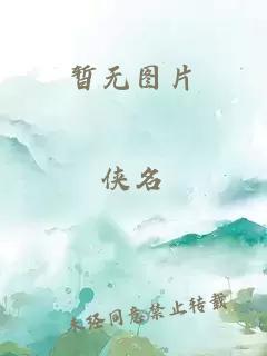 小说中宫