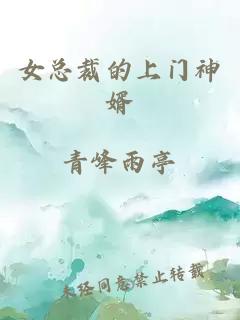 女总裁的上门神婿