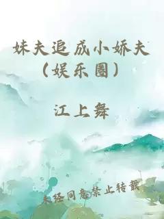 妹夫追成小娇夫（娱乐圈）