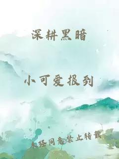 深耕黑暗